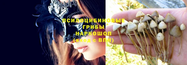 PSILOCYBIN Армянск