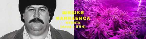 apvp Аркадак