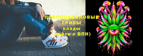 эйфоретик Алзамай