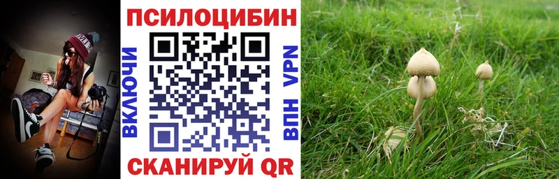 где продают наркотики  mega зеркало  это как зайти  Кулебаки  Галлюциногенные грибы ЛСД 